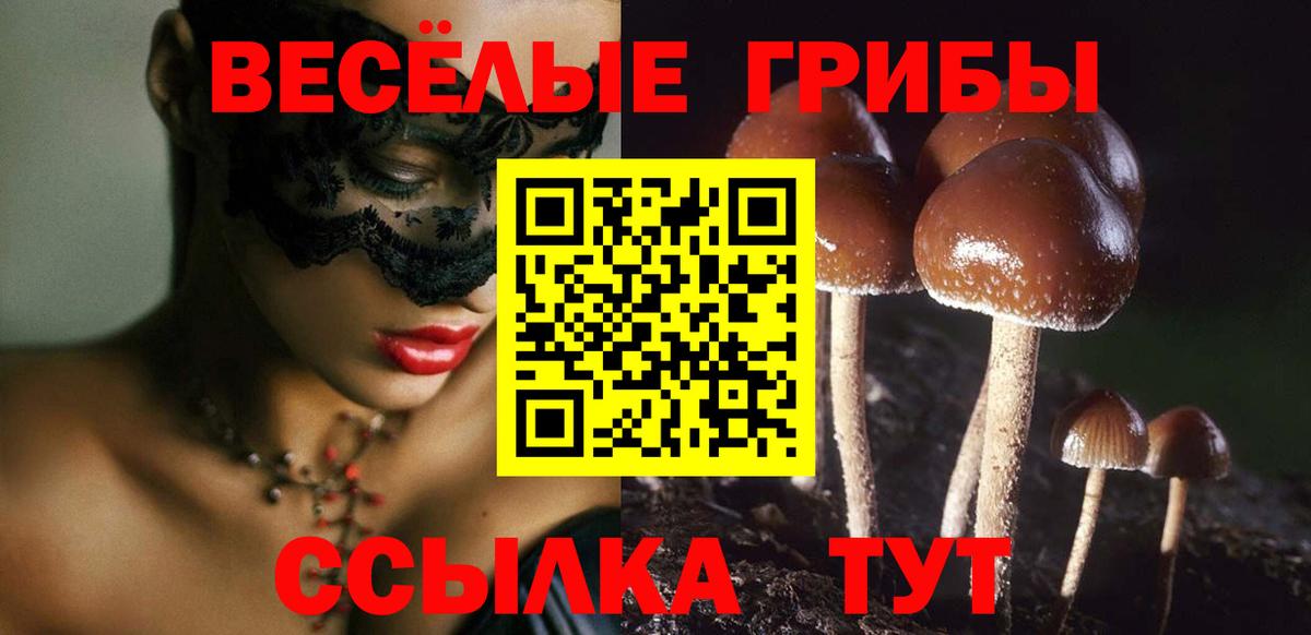 Чистополь  купить наркотик  Псилоцибиновые грибы мухоморы  Вход с VPN  Псилоцибиновые грибы мухоморы 